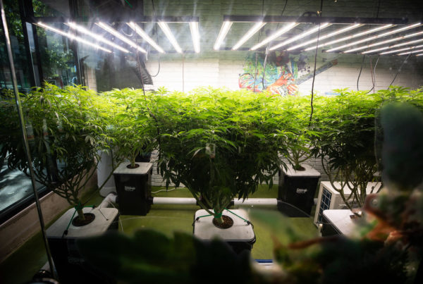 Legal weed is coming to New Mexico. Here’s what it means for Texas.