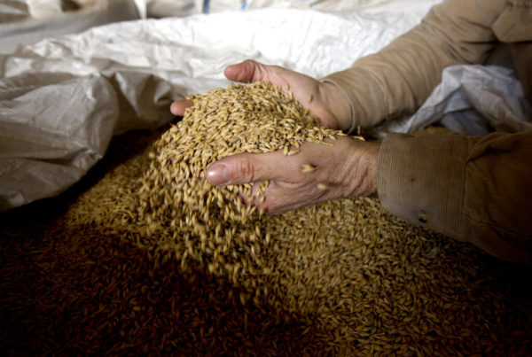 Craft breweries may have to increase beer prices due to supply chain issues