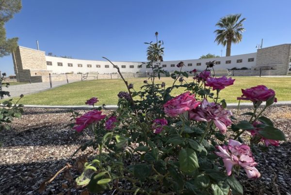 El Paso and Buffalo experience nearly identical hate crimes