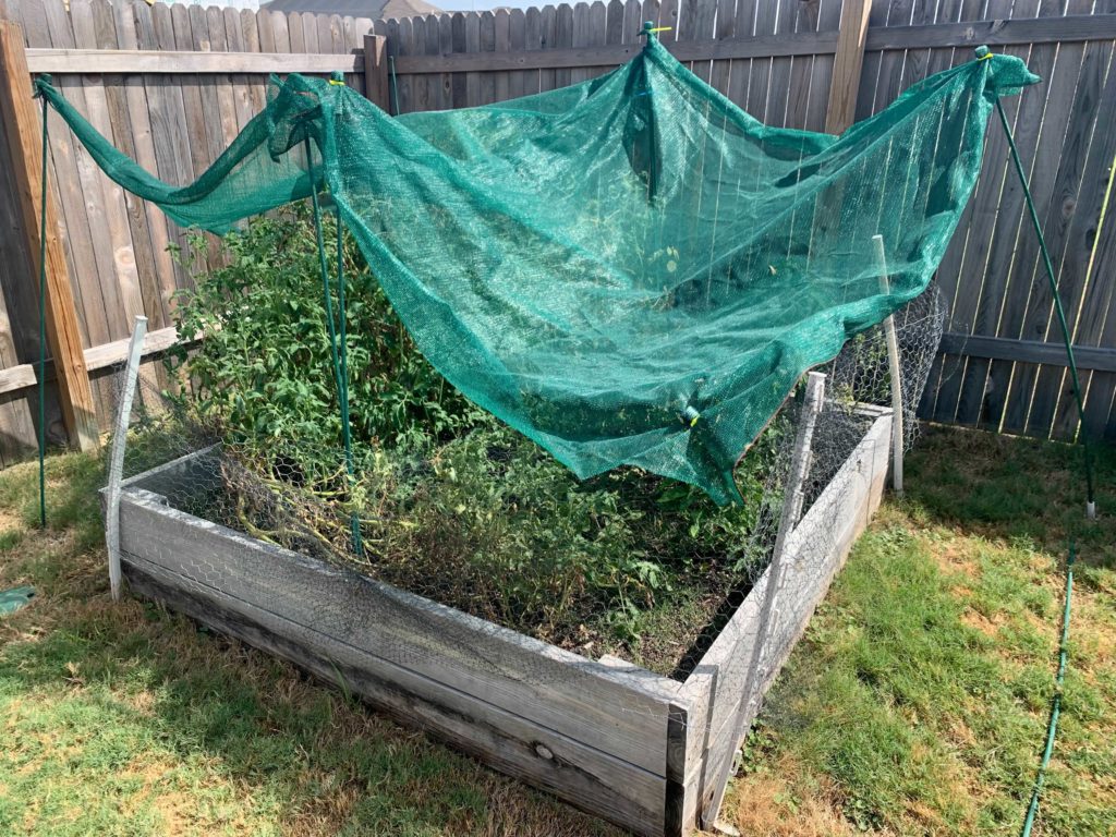 How to keep your garden going during a drought | Texas Standard