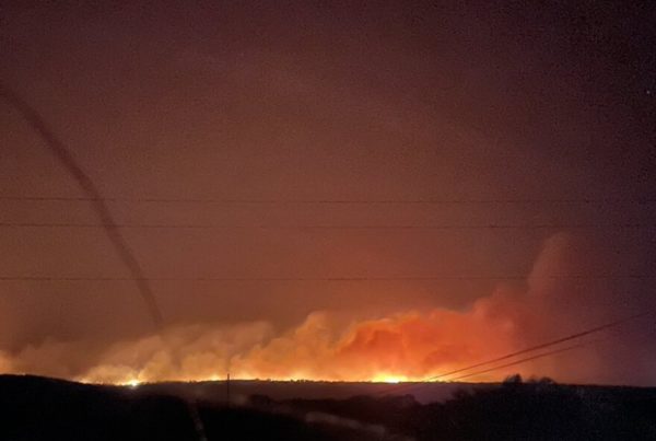 Firefighters battle at least ten active wildfires in North Texas as more break out across the state