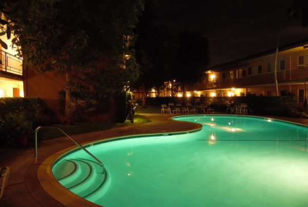 Typewriter Rodeo: Night Swim