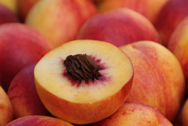 Typewriter Rodeo: The Joy of Summer Fruit