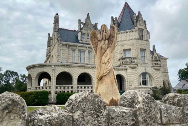 San Antonio tree tragedy gives wings to an angelic solution