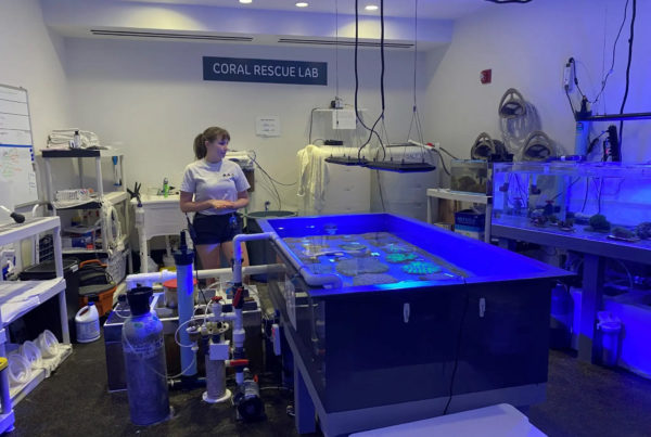A woman stands in a room looking over tanks filled with water. A sign in the back reads "Coral Rescue Lab."