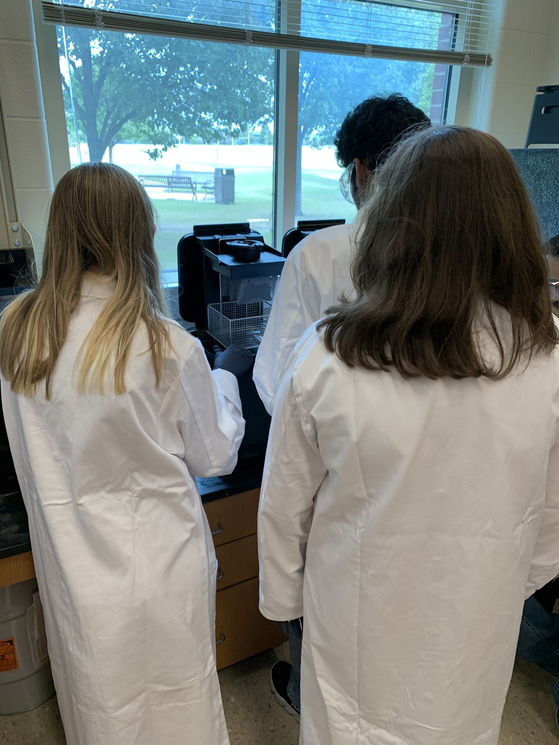 Three people are seen from the back, facing a 3D printing deive that&rsquo;s about the size of a typical office printer. With their fingers, they examine a tactile graphics image of a butterfly that was produced by the printer.