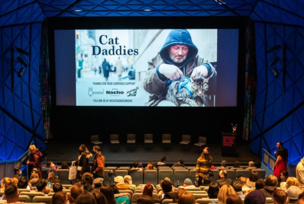 The feline fathers of ‘Cat Daddies’ are the purr-fect parents