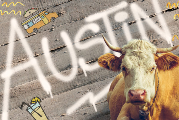 Check out Texas Monthly’s picks for the 2023 Bum Steers
