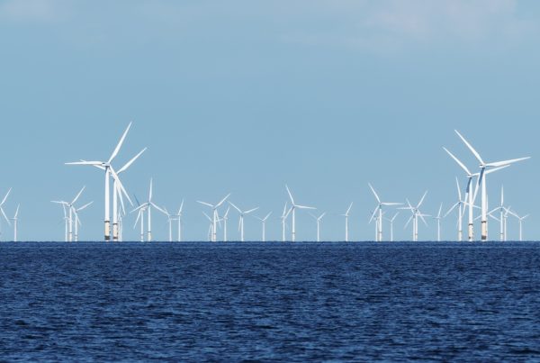 Texas-based think tank part of effort to stall offshore wind turbine construction