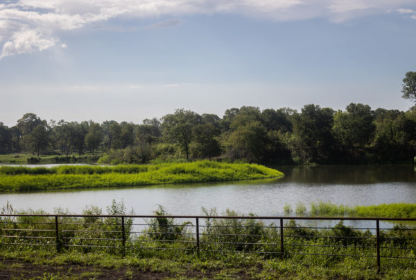 East Texans file new lawsuits to access beloved body of water