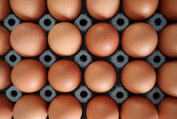 The chicken or the egg: Eggs are the latest food item to suffer supply chain disruption