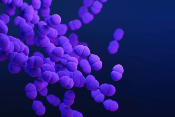 Is immunity debt or immunity theft to blame for children’s respiratory virus spike?