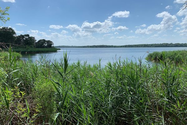 Fairfield Lake State Park’s possible closure to public ‘unacceptable,’ parks chief says