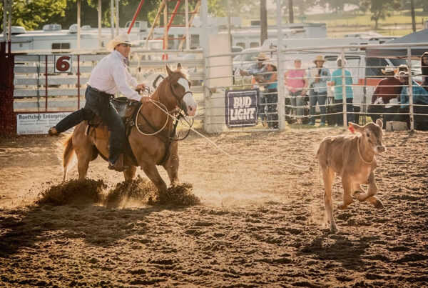 Never been to a rodeo and want to try it out? We’ve got tips from an expert for you.