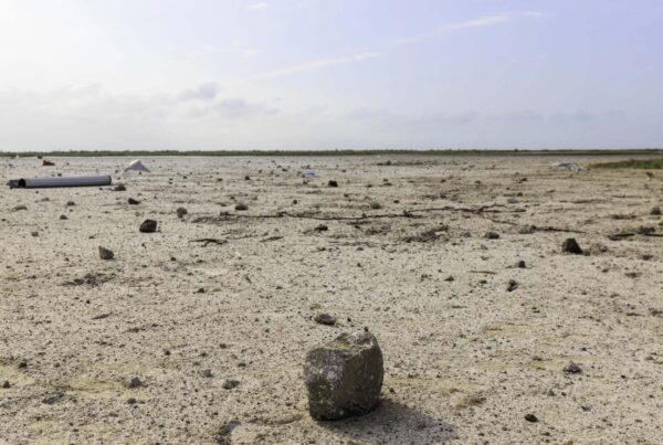 Failed SpaceX launch caused ‘significant’ environmental damage in South Texas