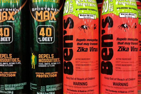 Summer heat brings more mosquitoes – and risk of disease – to Texans