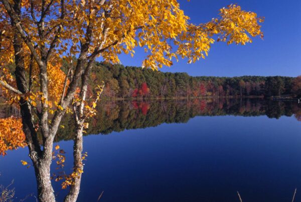 Texas parks department votes to take over Fairfield Lake State Park