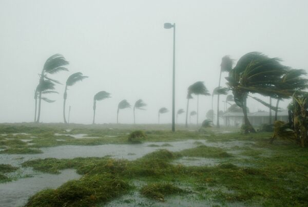 Hurricane season forecasts show an ‘average’ year, according to meteorologists