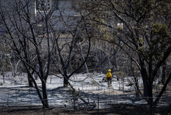 Texas has seen more wildfires than average this year. Here’s how to be prepared.
