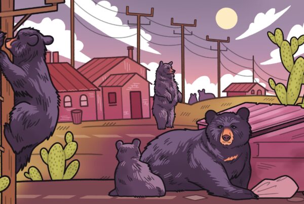 Are Texans ready to live in bear country?