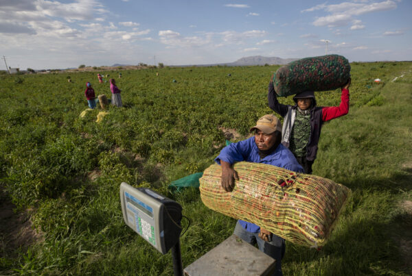 Tensions rise in the Rio Grande Basin as Mexico lags in water deliveries to the U.S.