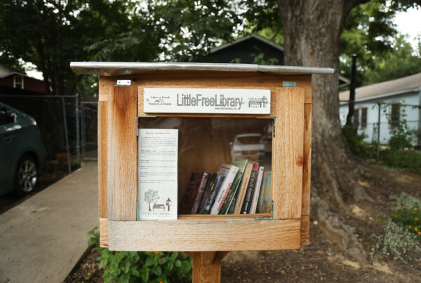 Typewriter Rodeo: Little Free Libraries