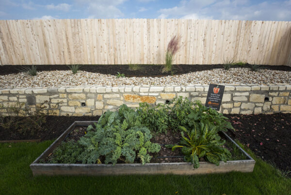 How to keep your garden safe and warm during the cold winter months