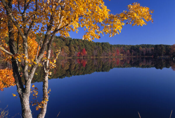 State drops eminent domain case to reclaim Fairfield Lake State Park