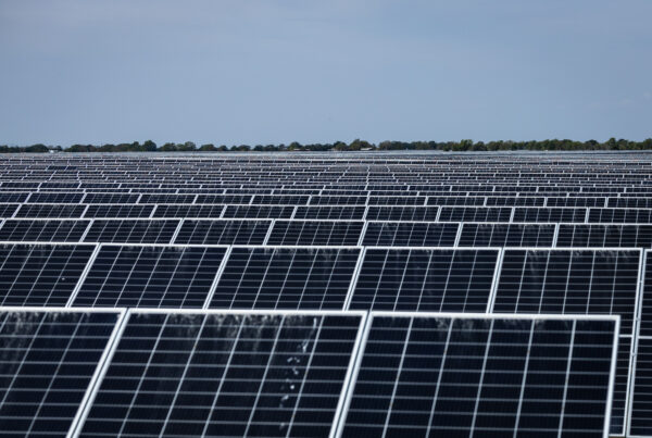Recapping the biggest wins for Texas’ environment in 2023