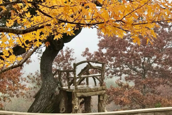 Storied Boerne property secrets reveal much about its era