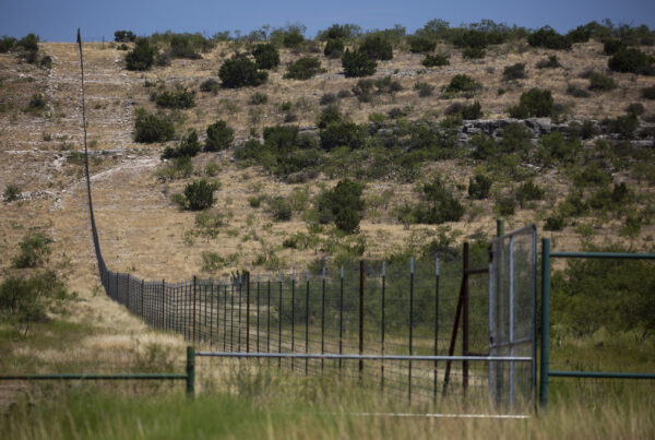 New data shows how Texas farmers adjust to climate and costs