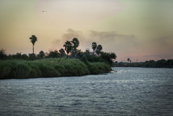 The Rio Grande is getting saltier. That’s bad for farmers.