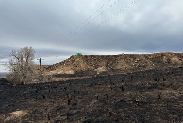 Texas House committee hears public testimony over Panhandle wildfire