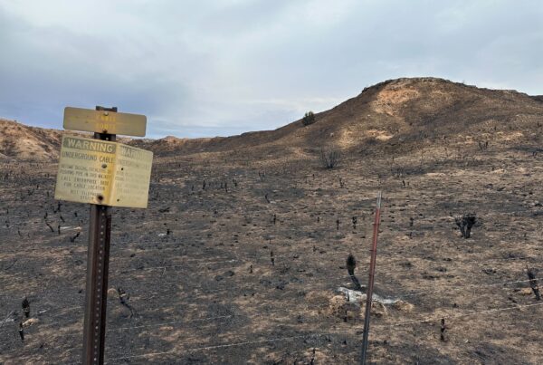 Smokehouse Creek Fire was ignited by power line, A&M Forest Service says
