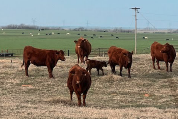 Uninsured country: Affordable health care eludes many family farmers and ranchers