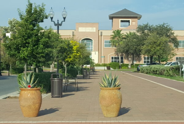 Judge overturns city council election in South Texas over ‘illegally-cast’ votes