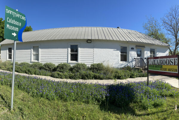 A panoramic picture of the Calaboose museum sign and the small, white brick building behind it. The bluebonnets in the museum's front lawn are in bloom.