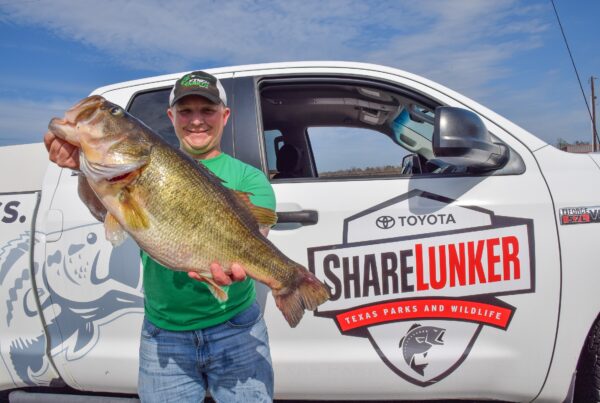 ShareLunker program recruits Texas anglers to cultivate bigger, better fish