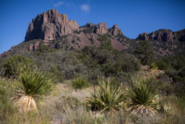 Want to live in Big Bend National Park while working on your art? Here’s how