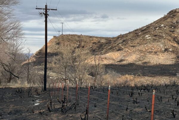 ‘This is a years-long recovery’: The Panhandle rebuilds after devastating wildfires