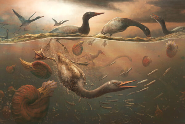 The ancestor of modern ducks and geese may have waddled alongside the dinosaurs
