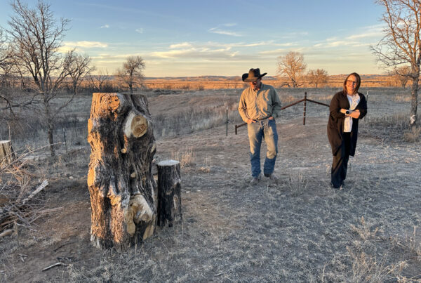 ‘Beauty from the ashes.’ Texas Panhandle recovering one year after the state’s largest wildfire