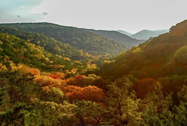Nearly 4,000 Hill Country acres set aside for Texans to enjoy