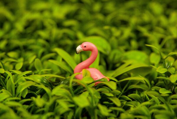 Close-Up Photograph of a Flamingo Figurine Near Green Leaves