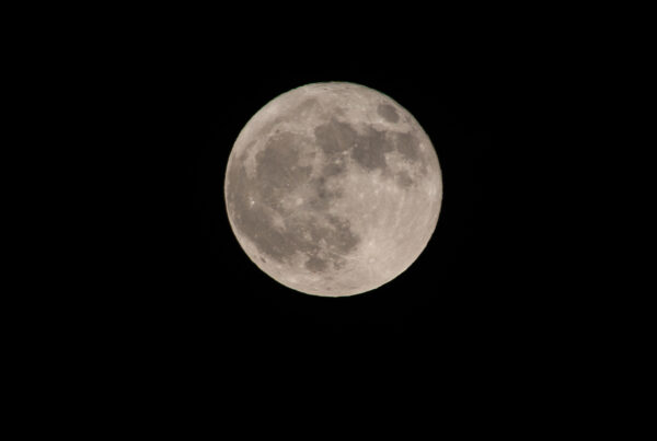 A ful moon in the night sky.