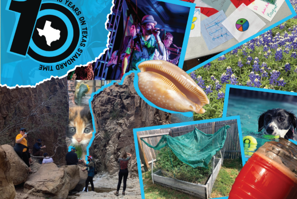 Don’t sweat – here are our top 10 favorite summer stories from the past decade