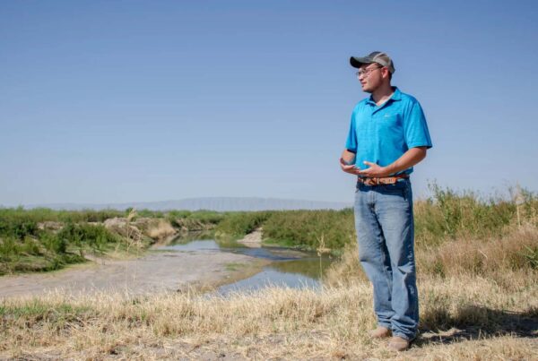 Texas farmers struggle as Mexico and US wrestle with water from the Rio Grande treaty