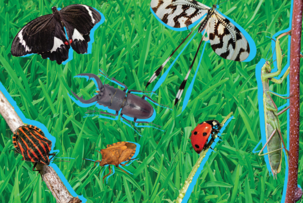 Kids want to know: Why should we care about bugs?