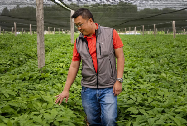 U.S. ginseng growers and animal breeders rely on exports to China. Now they wait on a trade deal