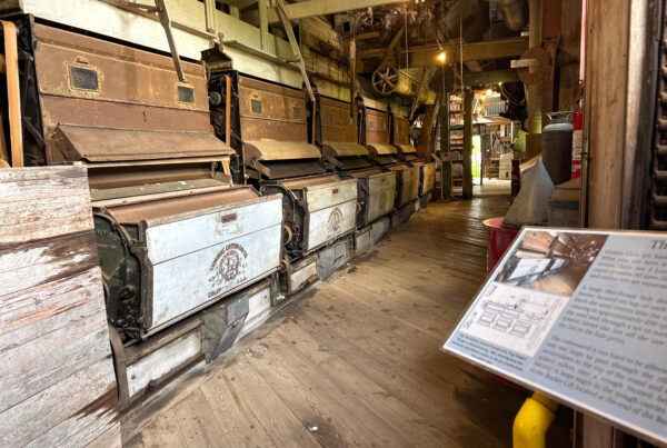 This cotton gin has stood for over 100 years. The connected museum tells the cotton story.